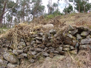 Imagen Vestigios Arqueológicos de Ll